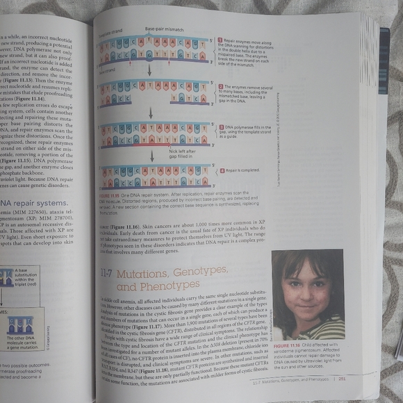 Michael Cummings Human Heredity: Principles and Issues 11th Edition Paperback - Picture 4 of 6